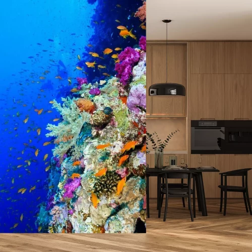 Fototapete Korallenriff in Ägypten