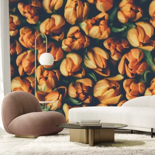 Fototapete Orangefarbene Tulpen