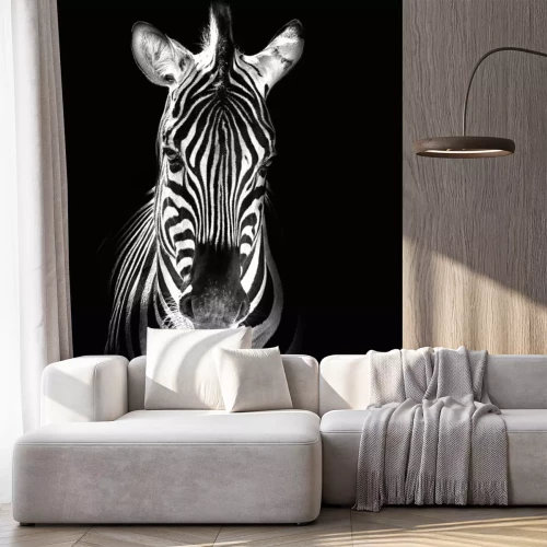 Sticker Zebra auf Schwarz-Weiß-Foto