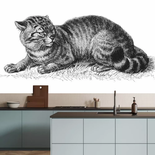 Sticker domestic cat (Felis catus) / vintage illustration from Meyers Konversations-Lexikon 1897