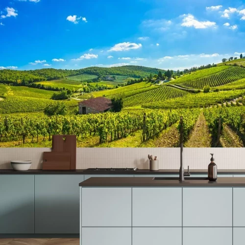 Fototapete Toskanischer Weinberg in der Sonne