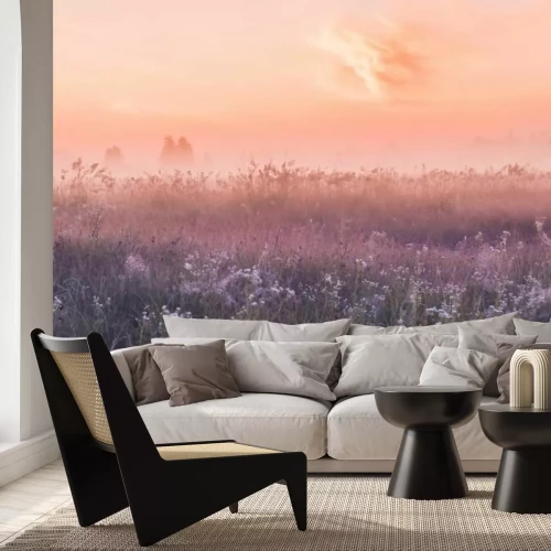 Fototapete Wiese mit Wildblumen und einem rosa Sonnenaufgang