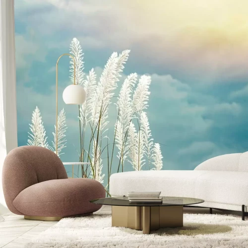 Fototapete Weiße Grasähren gegen den blauen Himmel