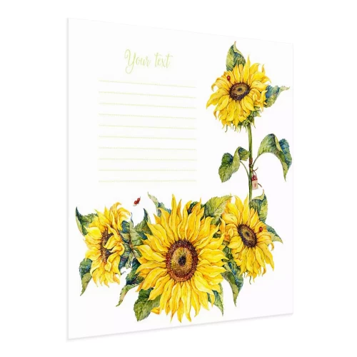 Visualisierung des Produkts