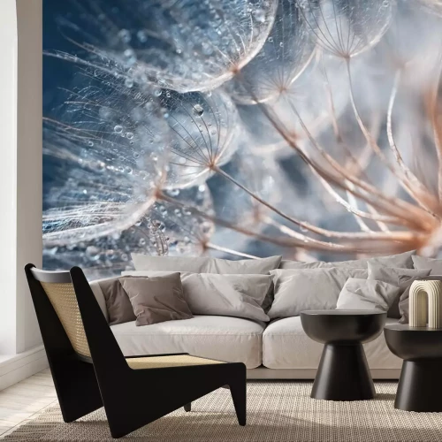 Fototapete Löwenzahnsamen mit Tautropfen