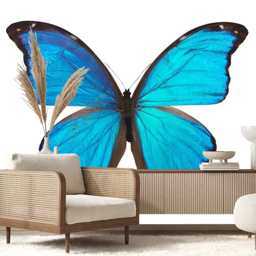 Sticker Blauer Schmetterling auf hellem Hintergrund