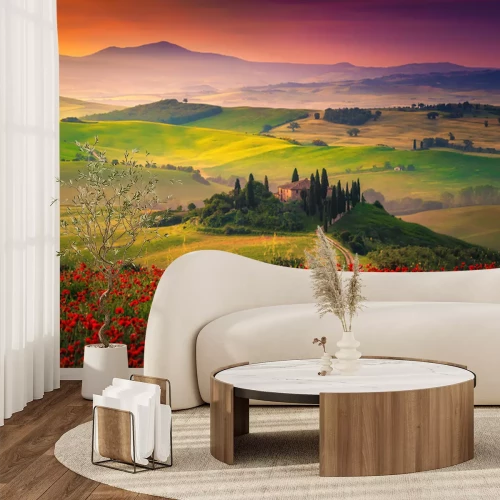 Fototapete Blumen und Felder in der Toskana