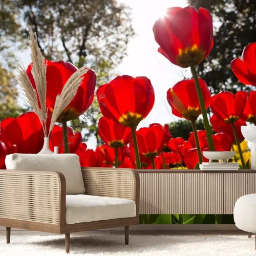 Sticker Von der Sonne beleuchtete rote Blumen