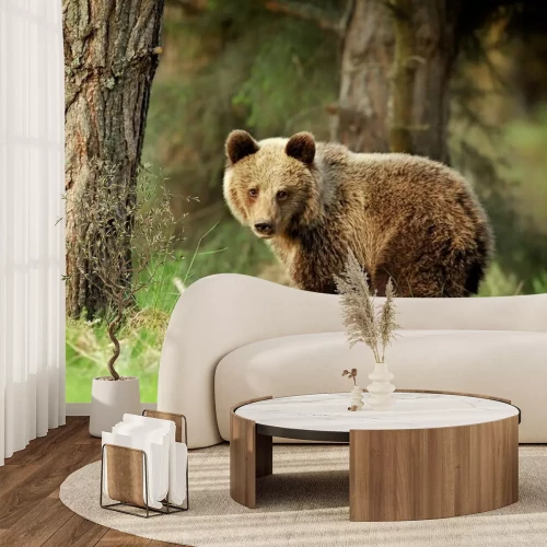 Fototapete Brauner Bär im Wald