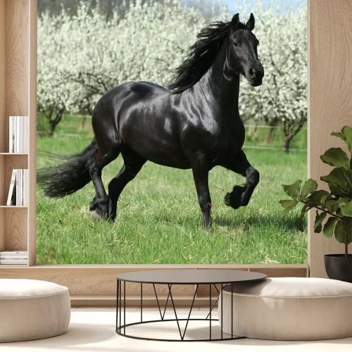 Fototapete Ein schwarzes Pferd im Gras, im Hintergrund blühende Bäume.