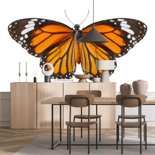 Sticker Foto eines orange-schwarzen Schmetterlings mit ausgebreiteten Flügeln