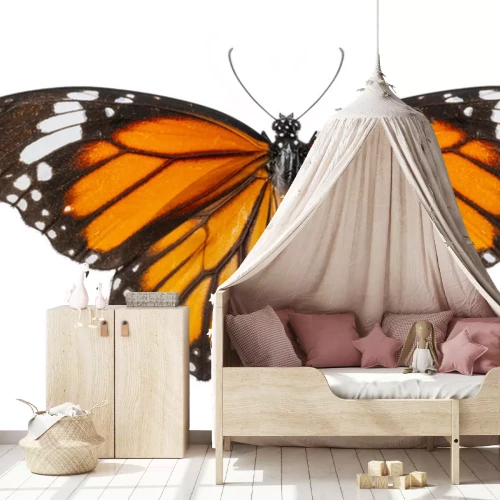 Sticker Foto eines orange-schwarzen Schmetterlings mit ausgebreiteten Flügeln