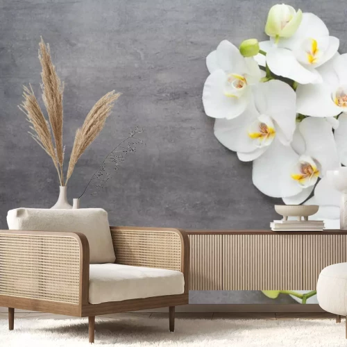 Fototapete Weiße Orchidee auf grauem Beton