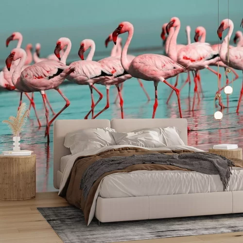 Sticker Flamingos in der Blauen Lagune