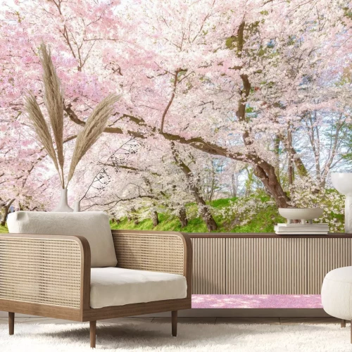 Fototapete Pinkfarbene Kirschblüten mit einem Fluss dazwischen