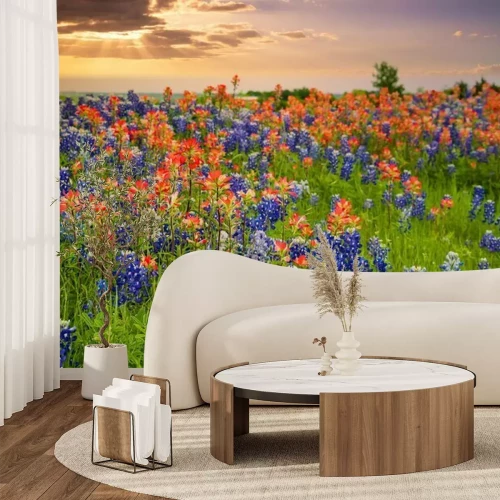 Fototapete Wiese mit großen Blumen