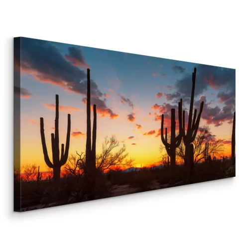Bild Landschaft mit Kakteen vor dem Hintergrund eines Sonnenuntergangs in Arizona