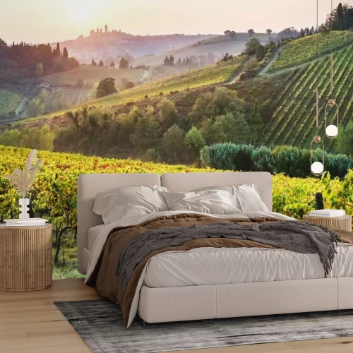 Fototapete Toskanischer Weinberg am Hügel