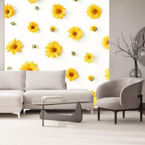 Fototapete Kleine und große Gänseblümchen in Gelb