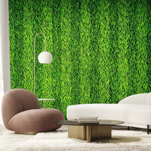 Fototapete Grünes Gras am Sportplatz