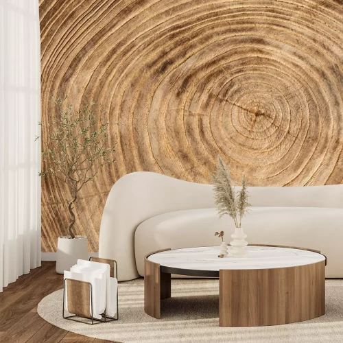 Fototapete Die Ringe des Baumstumpfes