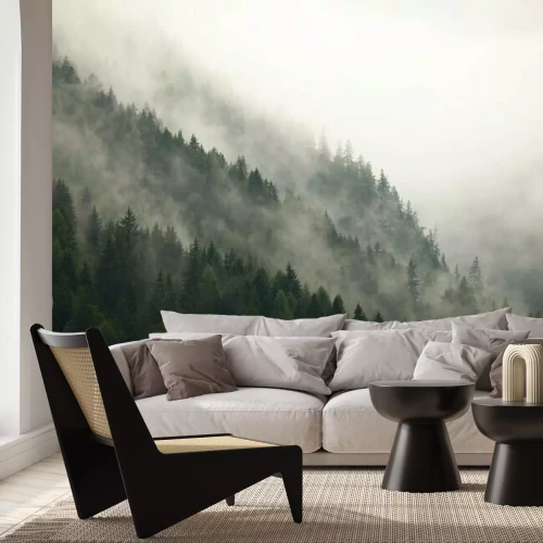 Fototapete Bewaldeter berghang