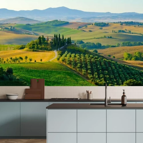 Fototapete Toskanische Sommerfelder