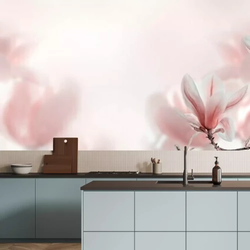 Fototapete Closeup of blooming magnolia tree in spring on pastel bokeh background.