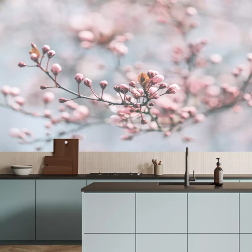 Fototapete Kirschblüte auf blauem Hintergrund