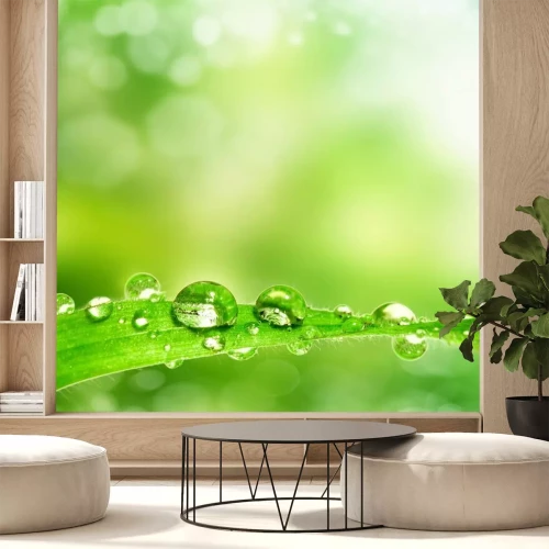 Fototapete Mit Tau umhüllter Grashalm