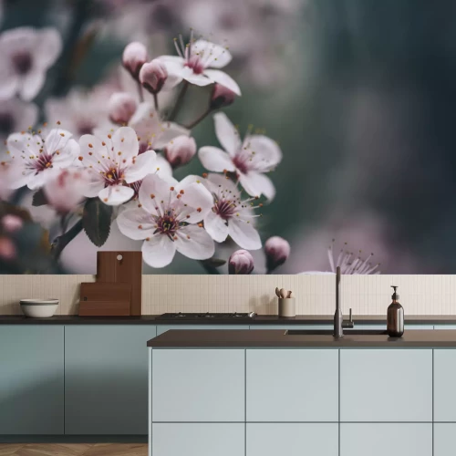 Fototapete Nahaufnahme einer Frühlings-Kirschblüte