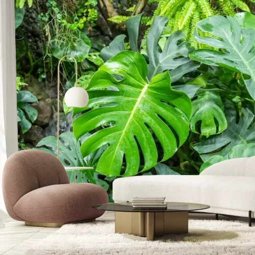 Fototapete Tropische Pflanzen in exotischem Wald