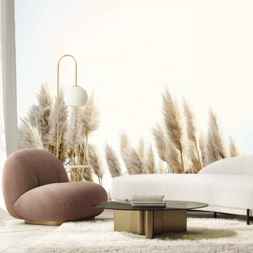 Fototapete Beigefarbene Pflanzen mit Himmel im Hintergrund