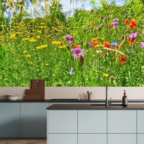 Fototapete Wiese mit Gras und Blumen