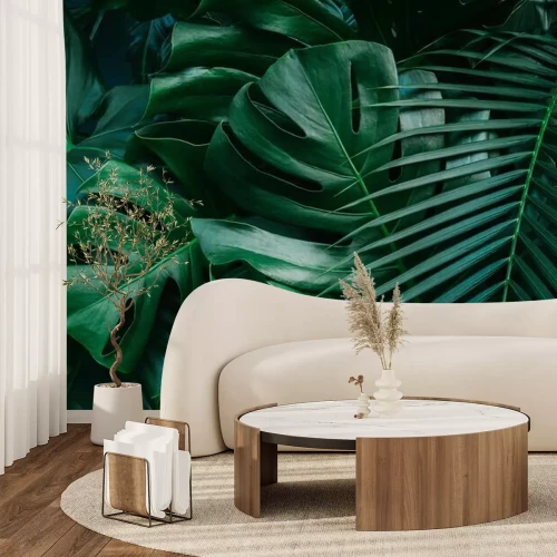 Fototapete Monstera-Blätter