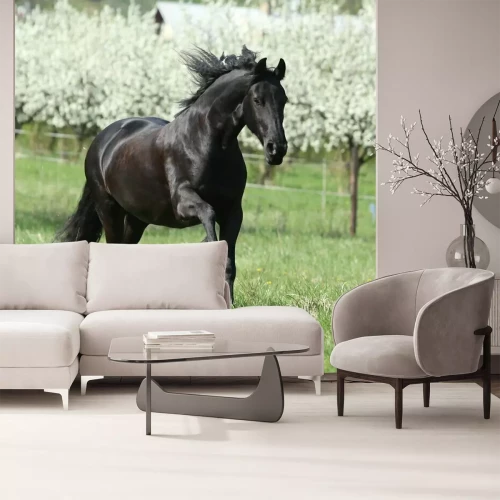 Fototapete Schwarzes pferd im hintergrund der bäume