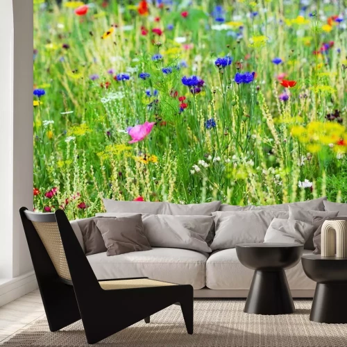 Fototapete Bunte Blumenwiese