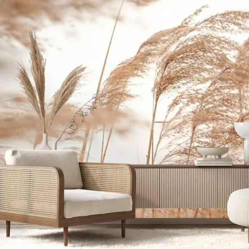 Fototapete Gras im Wind