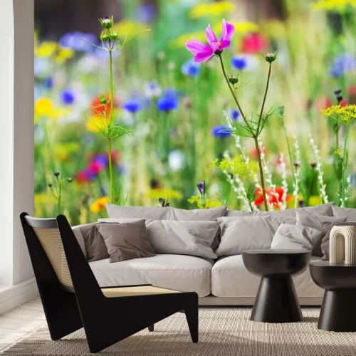 Fototapete Bunte Blumen auf der Wiese