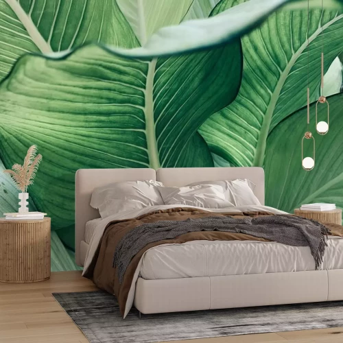 Fototapete Grüne Blätter tropische
