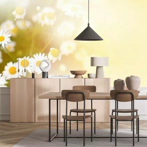 Fototapete Gänseblümchen bei sonnigem Wetter