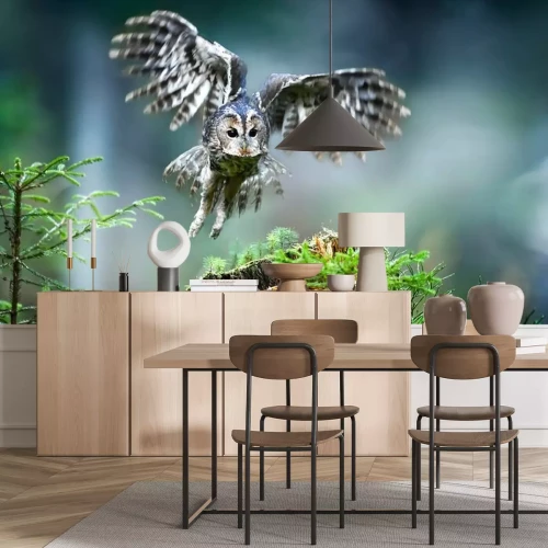 Fototapete Räuberische Eule im Wald auf der Jagd