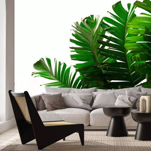 Sticker Dunkelgrüne Bananenblätter auf weißem Hintergrund, botanisches Muster