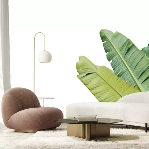 Sticker Grüne Bananenblätter auf weißem Hintergrund