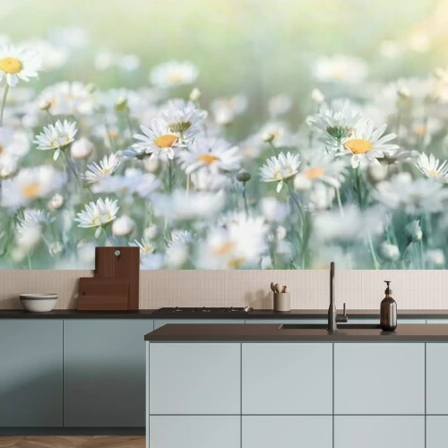 Fototapete Gänseblümchen auf der Wiese in hellen Farben