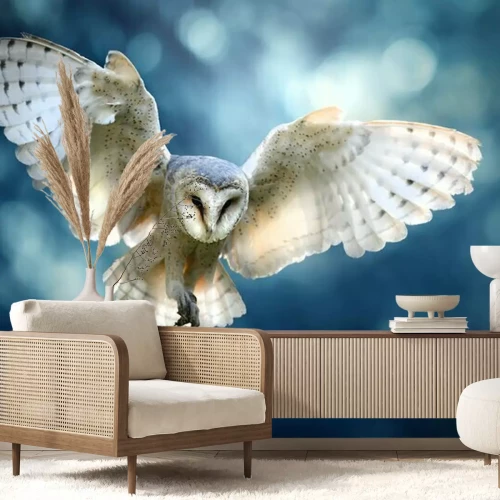 Fototapete Schleiereule im Flug auf der Jagd