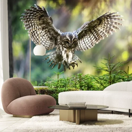 Fototapete Im Wald fliegende Eule