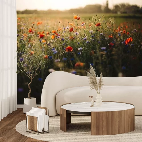 Fototapete Wiese mit Mohnblumen und Kornblumen