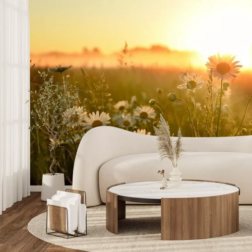 Fototapete Blumenwiese bei Sonnenuntergang