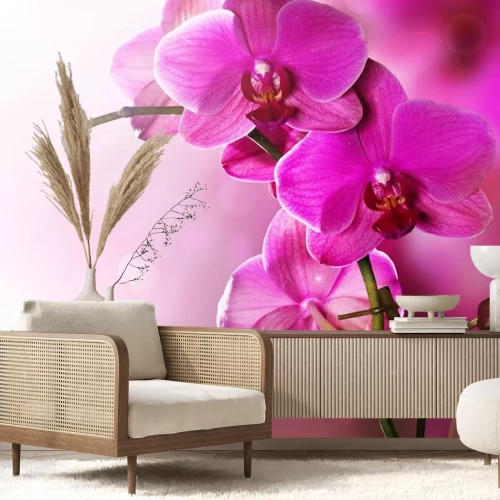Sticker Orchid Flower border Design